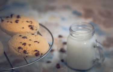 chocolate chip cookies fresh from the oven