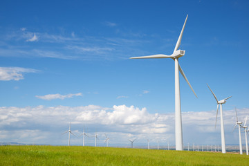 Fototapeta premium Renewable energy concept