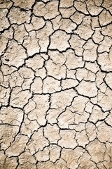 Drought land concept