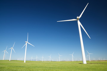 Fototapeta premium Renewable energy concept