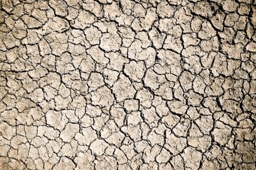 Drought land concept