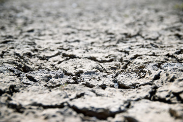 Drought land concept