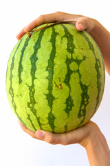 Whole Watermelon In Hands