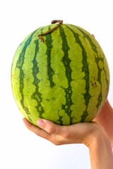 Whole Watermelon In Hand