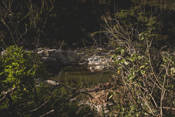 Beautiful Nature View Scene of 