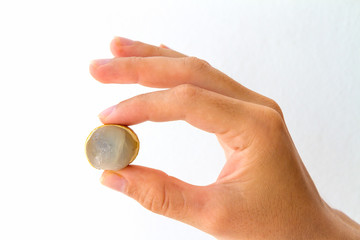 Opened Longan Fruit Berry in Hand