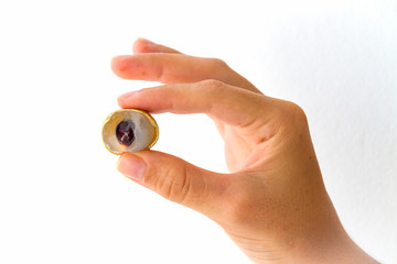 Sliced Longan Fruit Berry in Hand