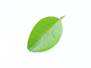Fototapeta na wymiar green lime leaf isolated on white