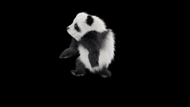 To exercise CG fur 3d rendering animal realistic CGI VFX Animation Loop  composition 3d mapping cartoon, with Alpha matte