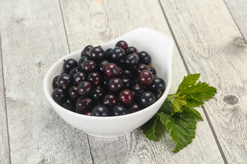 Fresh ripe sweet black currant
