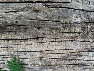 abstract pattern on old wooden background 