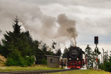 antiguo tren de vapor en un bosque de Alemania