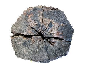 abstract cracked log tree stump isolated on white background