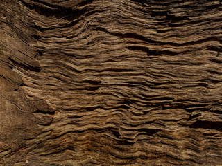 abstract surface old wood for texture.