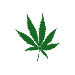 Green hemp leaf isolated on a white background. Vector illustration.