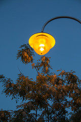 
street lamp shines at dusk