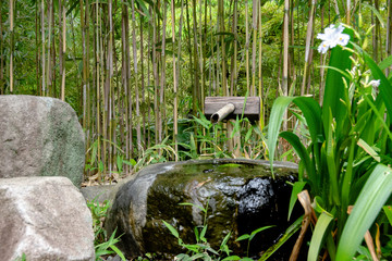 Koko-en garden in Himeji city