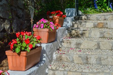 Fototapeta na wymiar steps with clay planters with colored petunias in Granada city. Spain