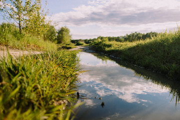 Deep puddle in the park after a rain in the summer sunny afternoon near the grass