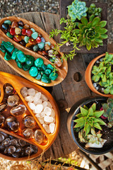 semiprecious stones and succulents on wooden table, top view 