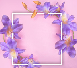 Flowers composition. Photo frame, Purple orchid on pastel pink background. spring concept. Flat lay, top view, copy space.
