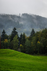 Green forest with mountains in the back