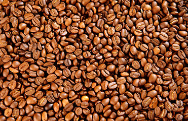 coffee beans background