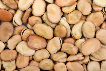 raw broad beans as background