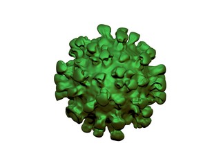 color model of a coronavirus or virus
