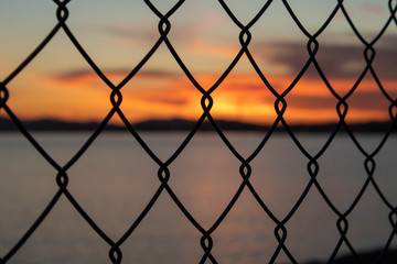 Fototapeta premium Atardecer reja