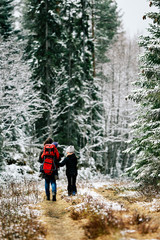 Obraz premium Snow in Spring