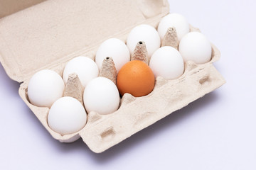 Tray with eggs, one brown egg, white background, top view