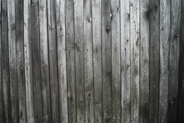 Obraz premium old wood fence background with grass