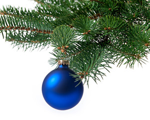 Fototapeta na wymiar christmas tree branch with balls