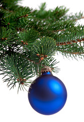 Fototapeta na wymiar blue christmas ball on a branch