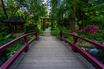 Japanese garden in Leverkusen, Germany.
