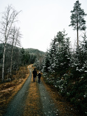 Snow in Spring