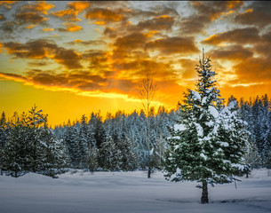 Priest River Sunset