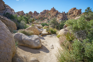 hiking the hidden valley trail in joshua tree national park, california, usa