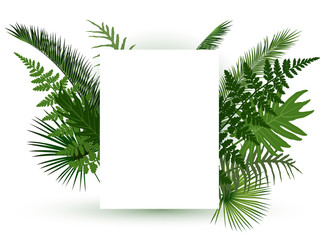 Green tropical leaves frame for random text on white background.