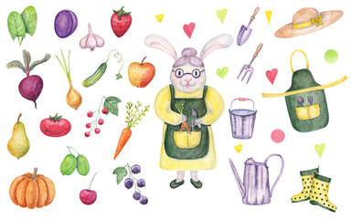 Set of watercolor hand painted rabbit gardener, tools, vegetables, fruit and berries. For books, recipes, menu, textile, wrapping paper and etc