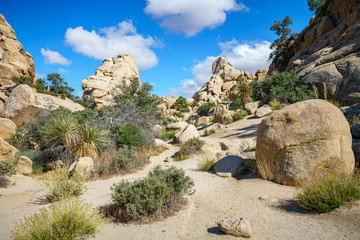 hiking the hidden valley trail in joshua tree national park, california, usa