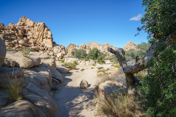 hiking the hidden valley trail in joshua tree national park, california, usa