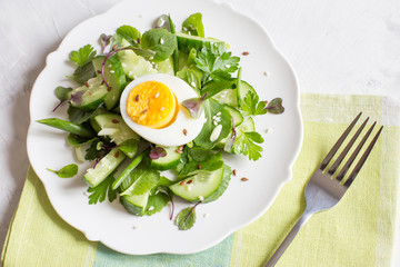 Fresh cucumber salad with micro greens and egg. Trending food. The view from the top, laying flat,...