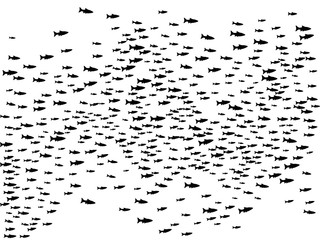 Black carp school of fish swimming vector illustration.