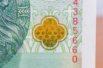 Rosette that changes color (optically variable paint) on 100 banknote.