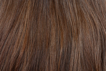 Beautiful wavy hair texture, brown hair