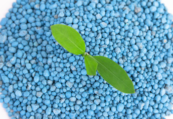 Pile of blue chemical fertilizer and green plant isolated on white. Gardening time.