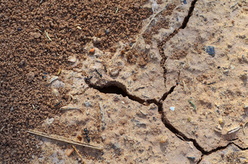 dry soil in the desert