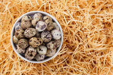 Obraz premium quail eggs on top of a straw background. top view